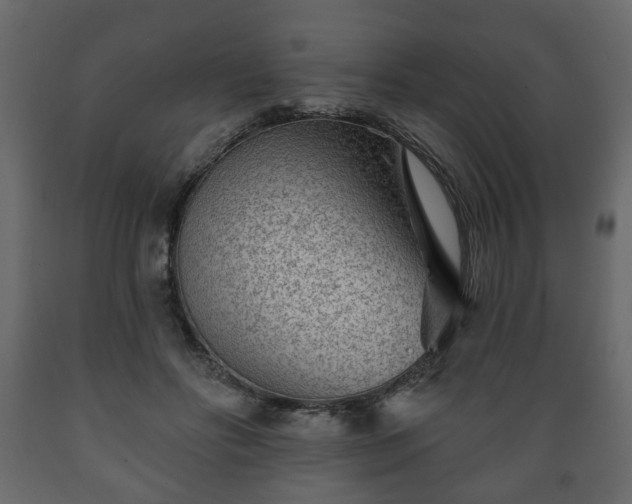 X0000089910502200707061002