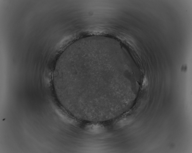 X0000089910503200707061002