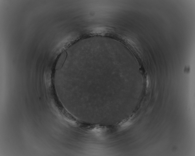 X0000089910504200707061002