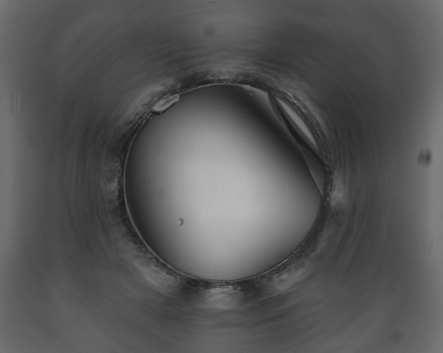 X0000089910505200707061002