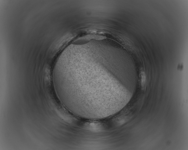 X0000089910506200707061002