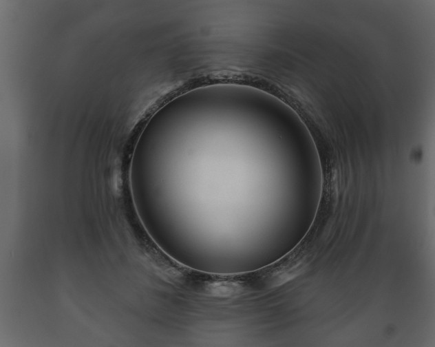 X0000089910508200707061002