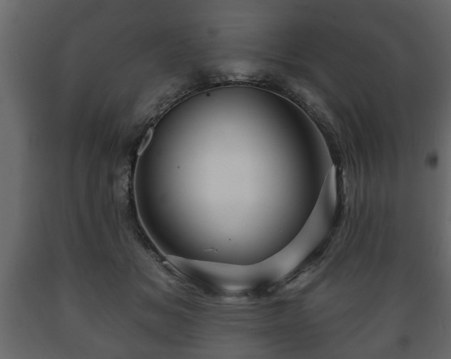 X0000089910509200707061001
