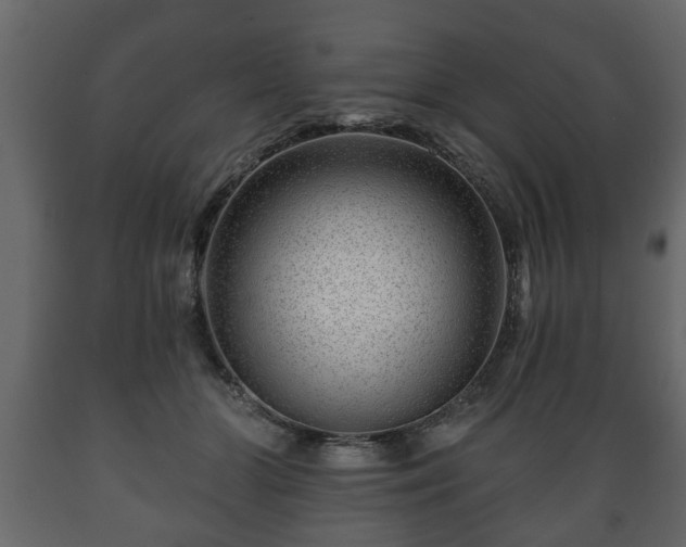 X0000089910510200707061001