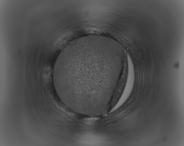 X0000089910511200707061001
