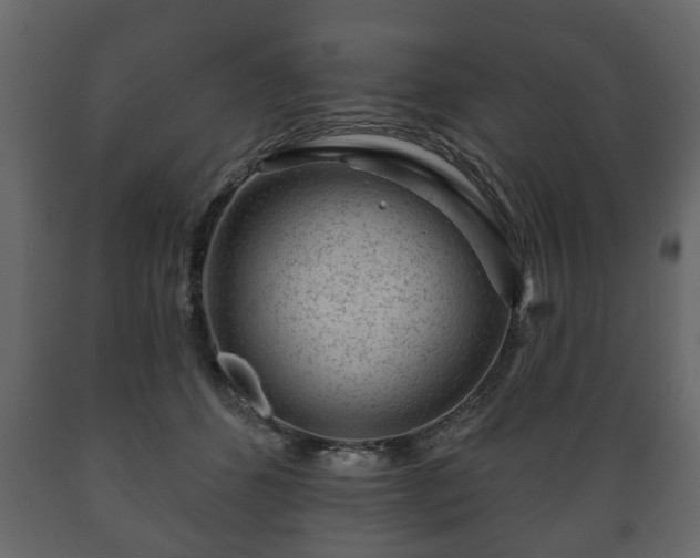 X0000089910512200707061001