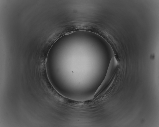 X0000089910513200707061001