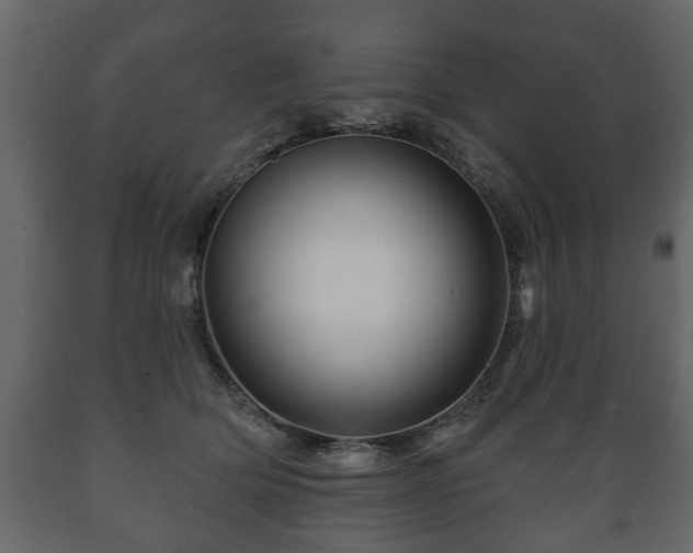 X0000089910514200707061001