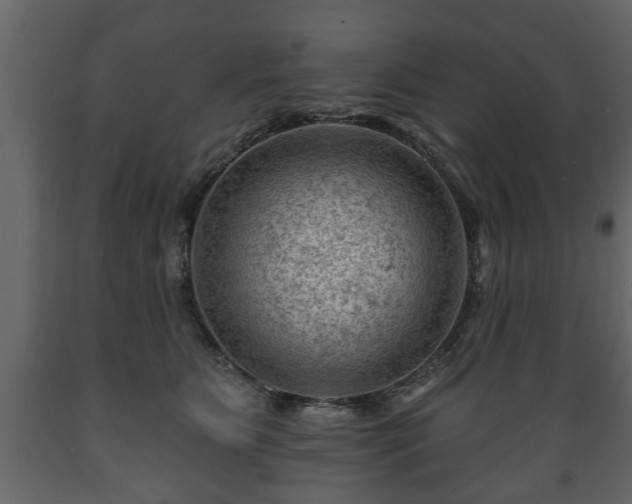 X0000089910515200707061001