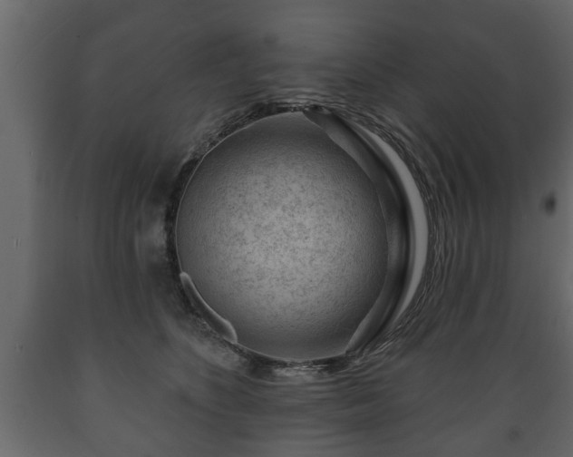 X0000089910516200707061001