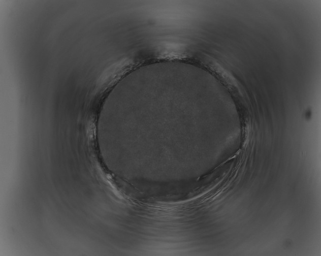 X0000089910517200707061001