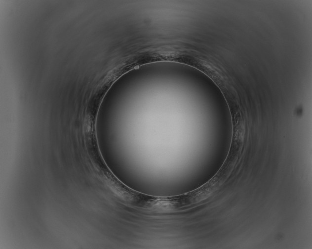 X0000089910518200707061001
