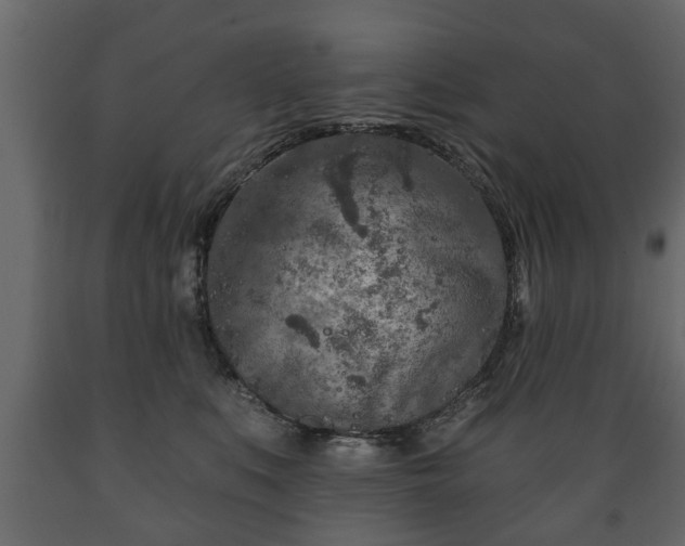 X0000089910519200707061001