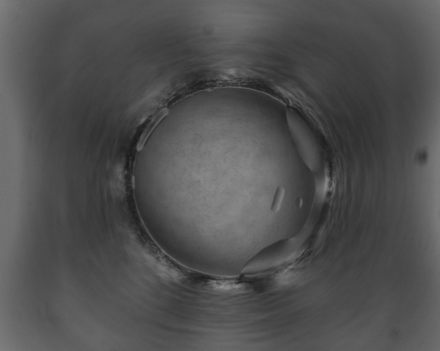 X0000089910520200707061001