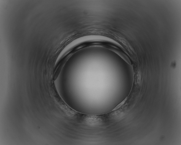 X0000089910521200707061001