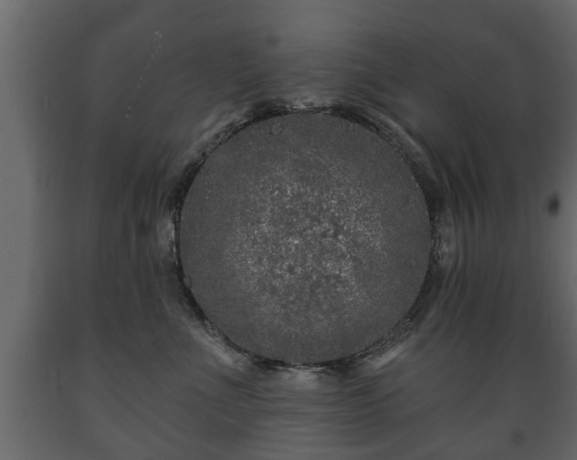 X0000089910523200707061001