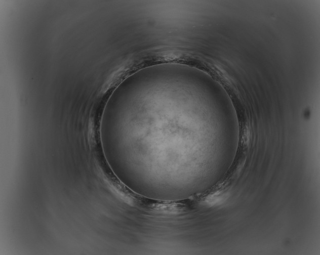 X0000089910524200707061001