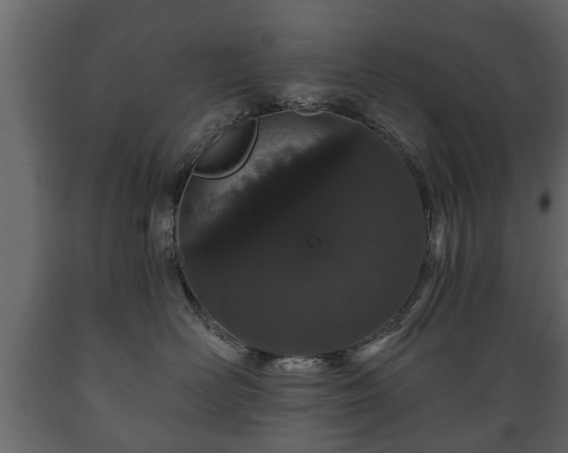 X0000089910526200707061001