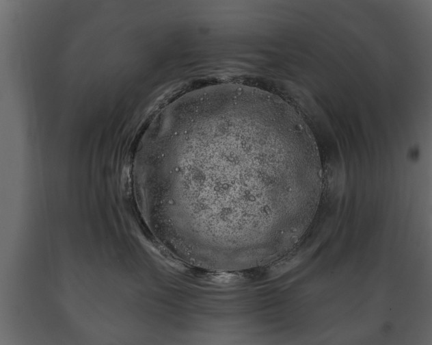 X0000089910527200707061001