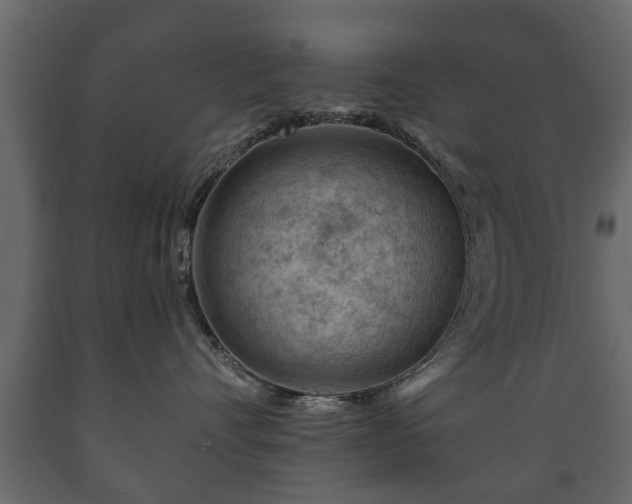 X0000089910528200707061001