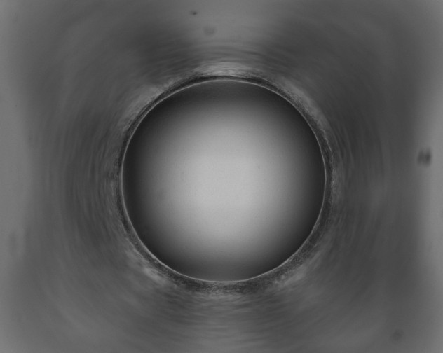 X0000089910529200707061001