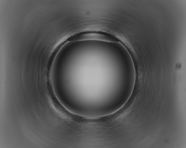 X0000089910530200707061001