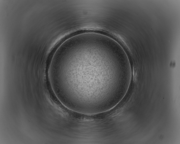 X0000089910531200707061001