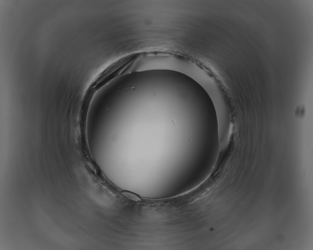 X0000089910532200707061001