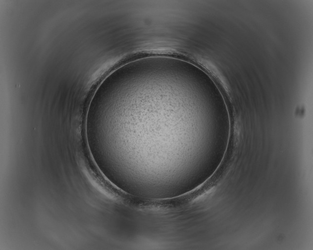 X0000089910533200707061001