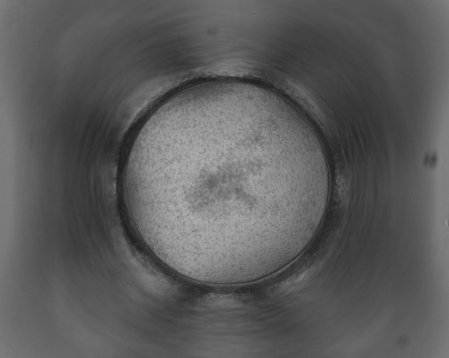 X0000089910534200707061001
