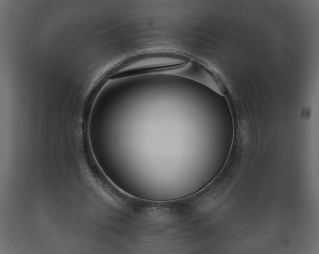 X0000089910535200707061001