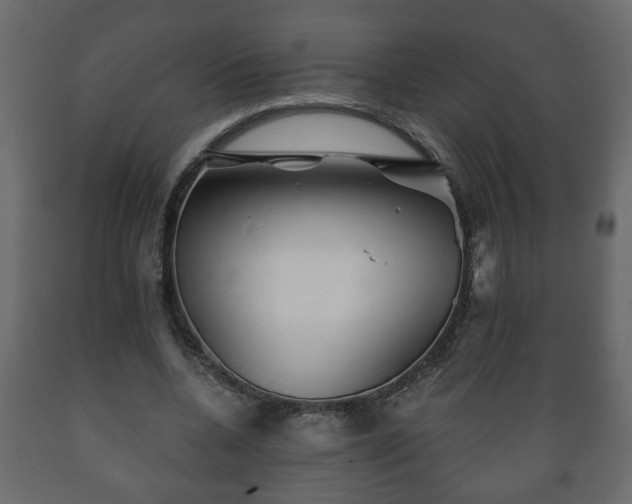 X0000089910536200707061001
