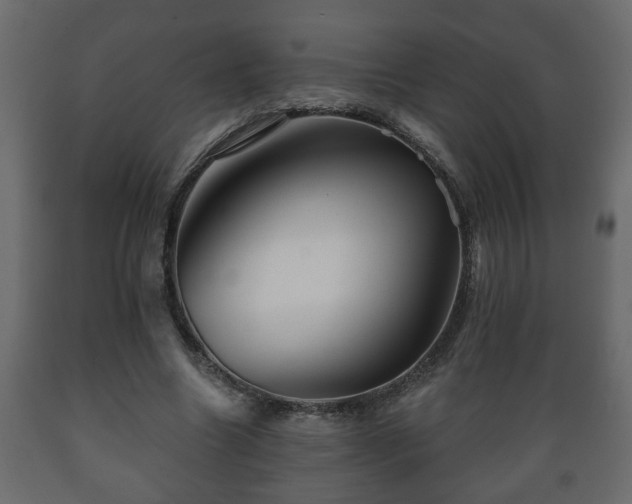 X0000089910538200707061001