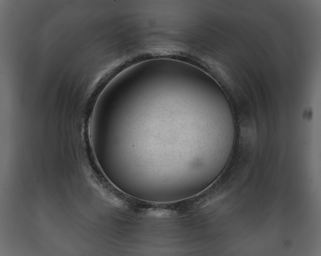 X0000089910539200707061001