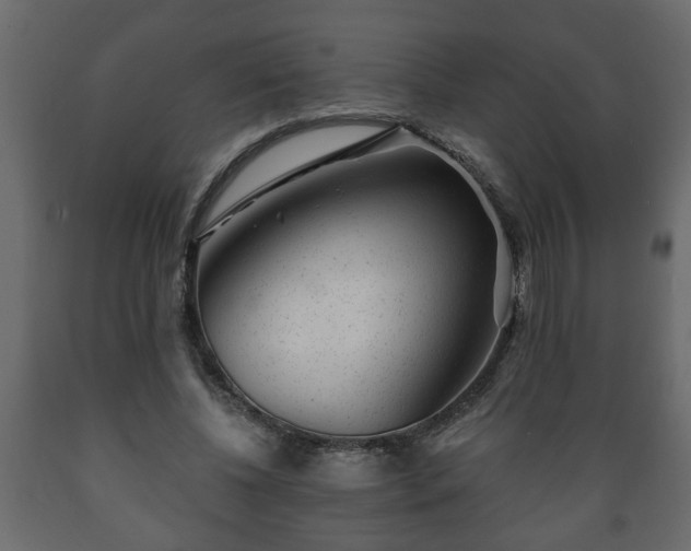 X0000089910540200707061001