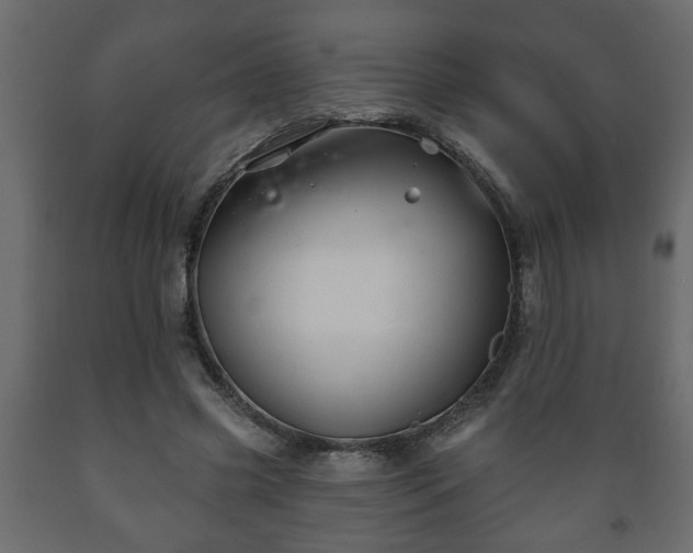 X0000089910541200707061001