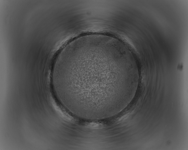 X0000089910542200707061001