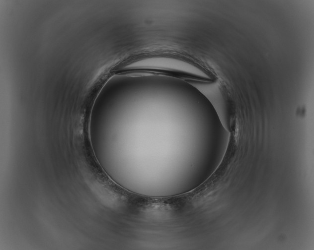 X0000089910543200707061001