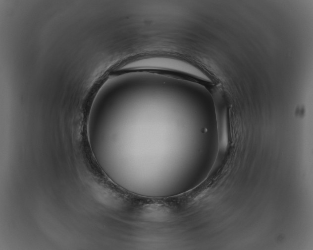 X0000089910544200707061001