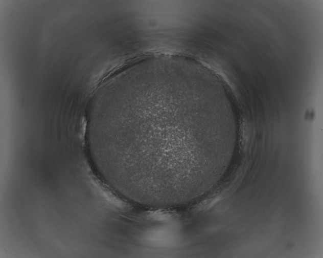 X0000089910545200707061001