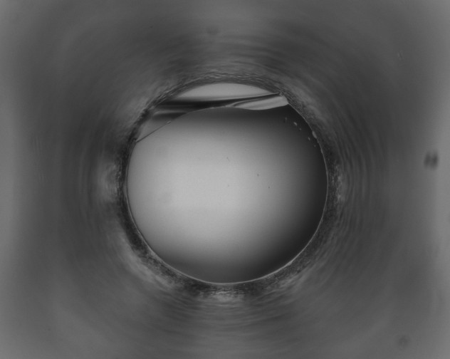 X0000089910546200707061001
