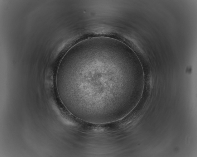 X0000089910547200707061001