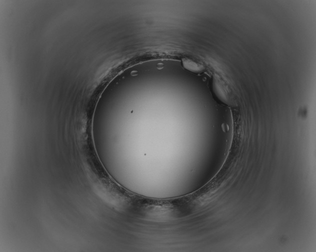 X0000089910548200707061001