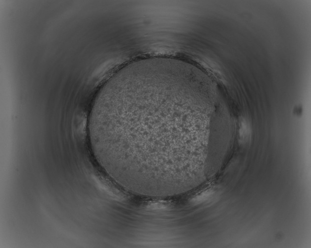 X0000089910550200707061001