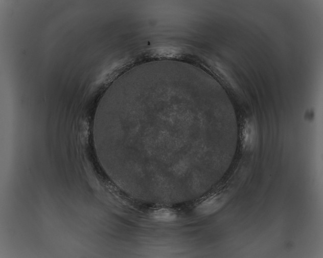 X0000089910551200707061001