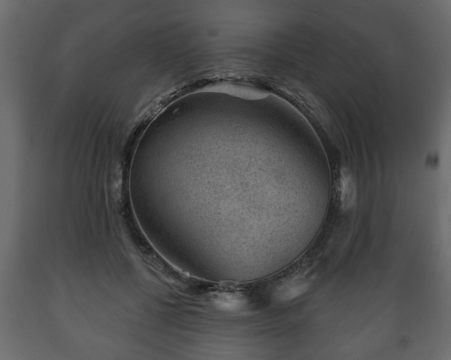 X0000089910552200707061001