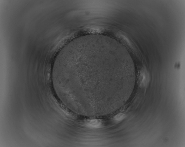 X0000089910553200707061001