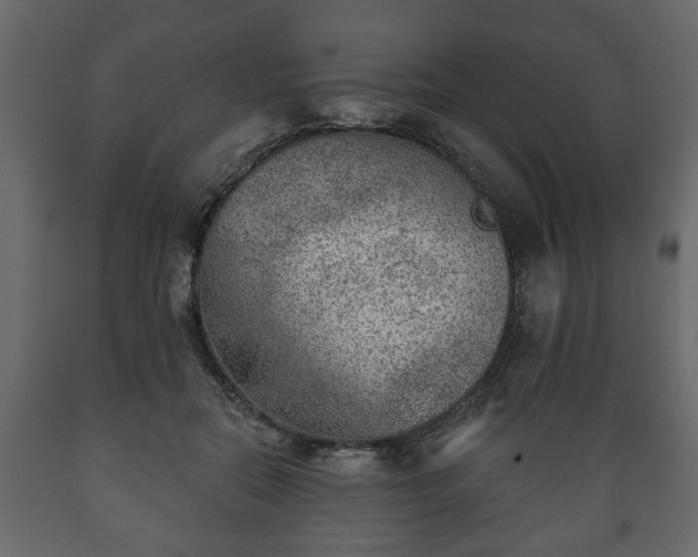 X0000089910554200707061001
