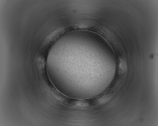 X0000089910555200707061001