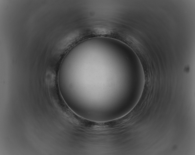X0000089910556200707061001